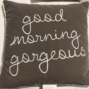 3 pc set Grey Velvet Accent Pillows